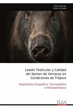 Lesión Testicular y Calidad del Semen de Verracos en Condiciones de Trópico - Estrada, Efrén; Estrada, Yatzin