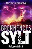 Brennendes Sylt (eBook, ePUB)