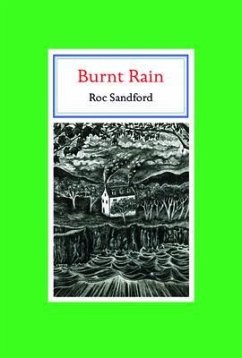 Cover Burnt Rain (eBook, ePUB)