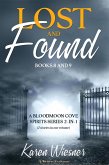 Lost and Found (Bloodmoon Cove Spirits, #8) (eBook, ePUB)