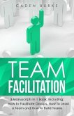 Team Facilitation (eBook, ePUB)