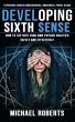 Developing Sixth Sense (eBook, ePUB) - Bild 1