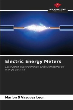 Electric Energy Meters - Vasquez Leon, Marlon S