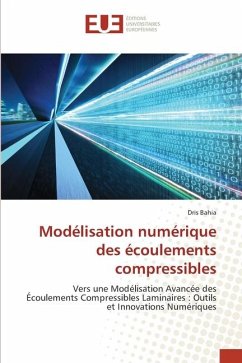 Modélisation numérique des écoulements compressibles - Bahia, Dris