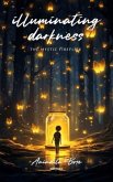 illuminating darkness (eBook, ePUB)