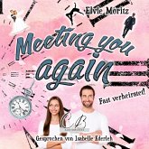 Meeting you again (MP3-Download)