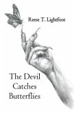 The Devil Catches Butterflies (eBook, ePUB)