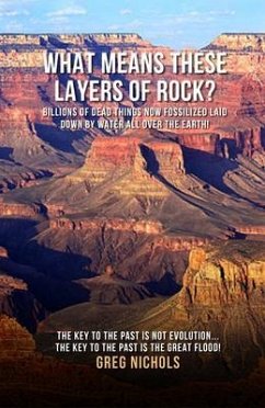 Cover What Means These Layers of Rock? (eBook, ePUB)