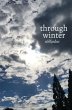 through winter (eBook, ePUB) - Bild 1