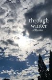 through winter (eBook, ePUB)
