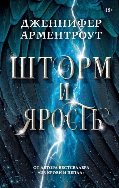 Shtorm i yarost' (eBook, ePUB)