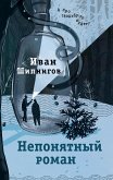 Непонятный роман (eBook, ePUB)