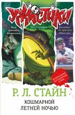 Кошмарной летней ночью (eBook, ePUB)