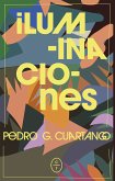 Iluminaciones (eBook, ePUB)