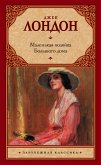 Маленькая хозяйка Большого дома (eBook, ePUB)