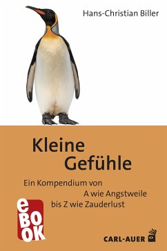 Kleine Gefühle (eBook, ePUB) - Biller, Hans-Christian