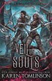 Veil Of Souls (The Aether Chronicles, #1) (eBook, ePUB)