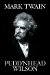 Pudd'nhead Wilson (eBook, ePUB) - Bild 1