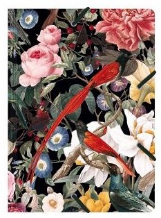 Sammelmappe de Luxe Red Birdies