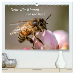 Sehe die Bienen (hochwertiger Premium Wandkalender 2025 DIN A2 quer), Kunstdruck in Hochglanz