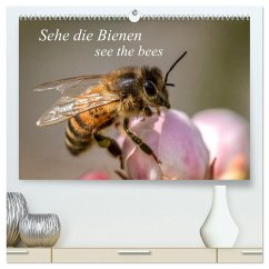 Sehe die Bienen (hochwertiger Premium Wandkalender 2025 DIN A2 quer), Kunstdruck in Hochglanz - Calvendo;Dreegmeyer, Andrea