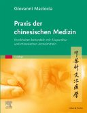 Praxis der chinesischen Medizin (eBook, ePUB)