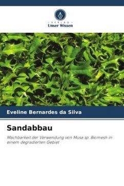 Sandabbau - Bernardes da Silva, Eveline