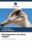 Management von Emu-Vögeln