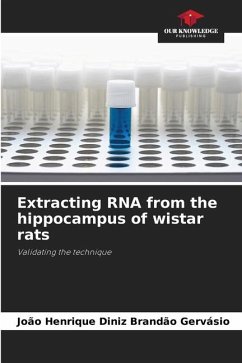 Extracting RNA from the hippocampus of wistar rats - Diniz Brandão Gervásio, João Henrique