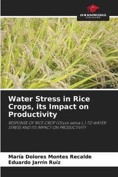 Water Stress in Rice Crops, its Impact on Productivity - Montes Recalde, María Dolores;Jarrín Ruíz, Eduardo