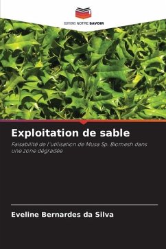 Exploitation de sable - Bernardes da Silva, Eveline