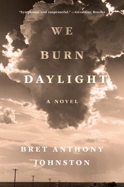 We Burn Daylight - Johnston, Bret Anthony