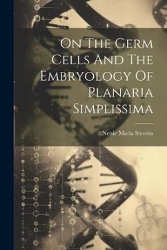 On The Germ Cells And The Embryology Of Planaria Simplissima - Stevens, Nettie Maria