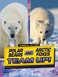 Polar Bears and Arctic Foxes Team Up! - Bild 1