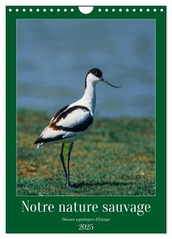 Notre nature sauvage, oiseaux aquatiques d'Europe (Calendrier mural 2025 DIN A4 horizontal), CALVENDO calendrier mensuel