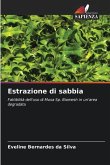 Estrazione di sabbia