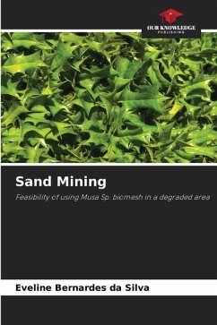 Sand Mining - Bernardes da Silva, Eveline