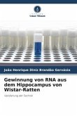 Gewinnung von RNA aus dem Hippocampus von Wistar-Ratten