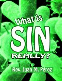 What Is Sin Really? (eBook, ePUB) What Is Sin Really? (eBook, ePUB)