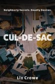 Cul-de-Sac (eBook, ePUB)