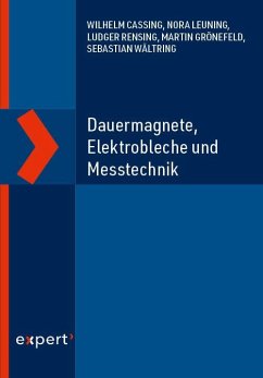 Dauermagnete, Elektrobleche und Messtechnik - Cassing, Wilhelm;Leuning, Nora;Rensing, Ludger