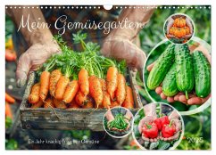 Mein Gemüsegarten - Ein Jahr knackig frisches Gemüse (Wandkalender 2025 DIN A3 quer), CALVENDO Monatskalender