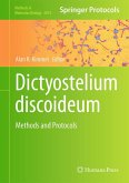 Dictyostelium Discoideum