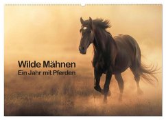 Wilde Mähnen: Ein Jahr mit Pferden (Wandkalender 2025 DIN A2 quer), CALVENDO Monatskalender - Calvendo;R. Stuhlmann, Peter