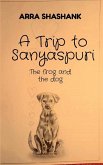 A Trip to Sanyaspuri