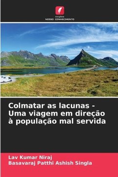 Colmatar as lacunas - Uma viagem em direção à população mal servida - Niraj, Lav Kumar;Ashish Singla, Basavaraj Patthi