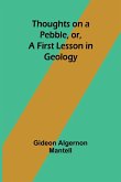 Thoughts on a Pebble, or, A First Lesson in Geology