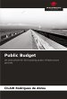 Public Budget - Bild 1