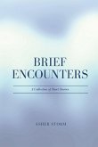 Brief Encounters (Large Print Edition)