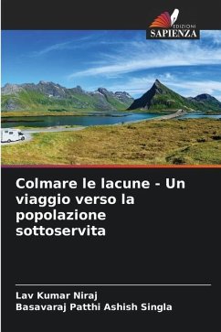 Colmare le lacune - Un viaggio verso la popolazione sottoservita - Niraj, Lav Kumar;Ashish Singla, Basavaraj Patthi